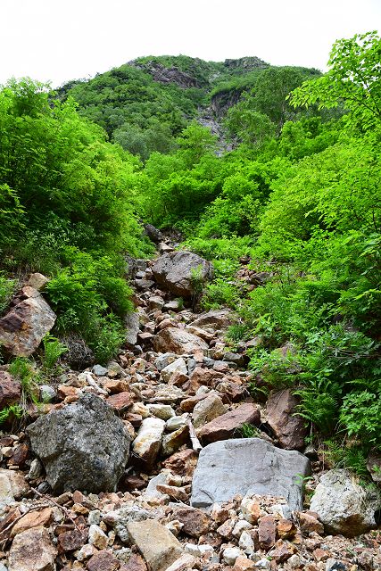 赤岩沢 2010m地点