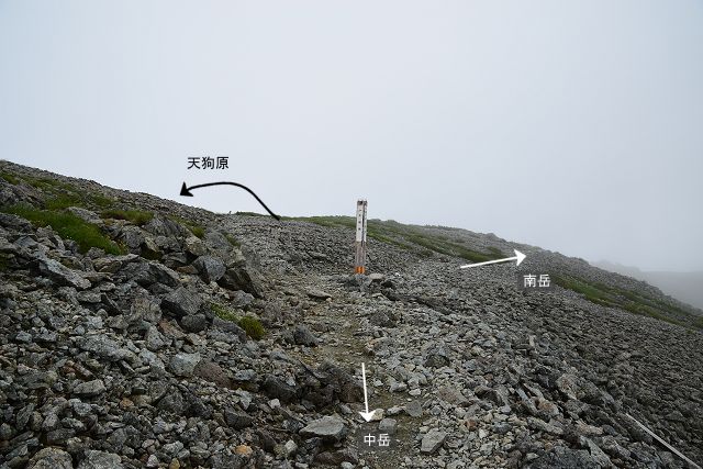 天狗原稜線分岐