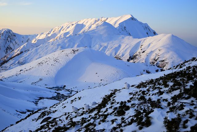 オス雷鳥の集団と夕暮れ前の奥大日岳