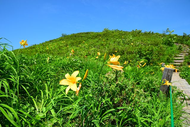 青空とゼンテイカ