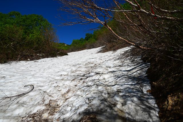 上の樺、7月でも早い時期だと雪渓歩きがあります。