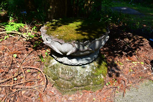 蓮台