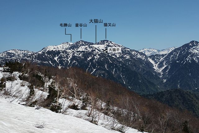 大猫山