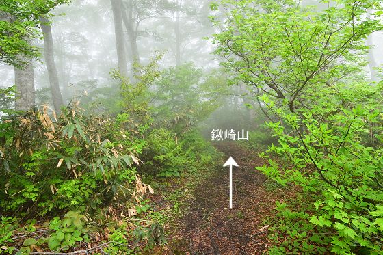 分岐から鍬崎山方向への登山道