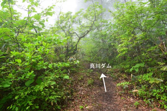 分岐から真川ダム方向への登山道