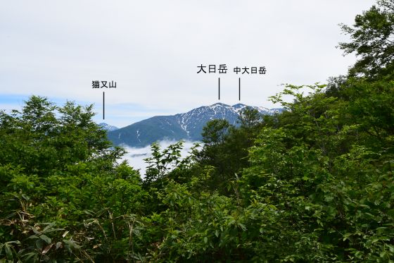 大品山 三角点広場から眺めた大日岳