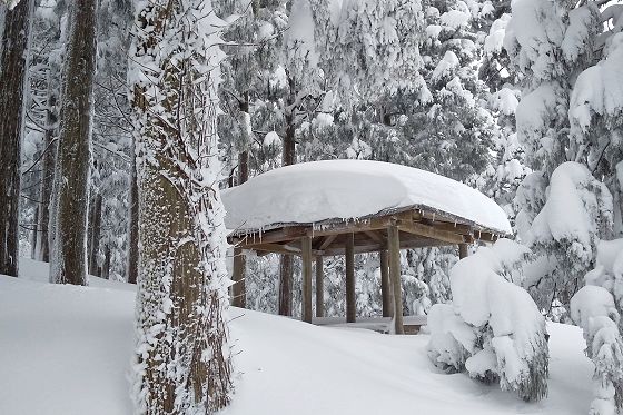 積雪期の二本杉登山口