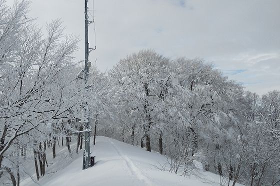 冬、牛岳山頂