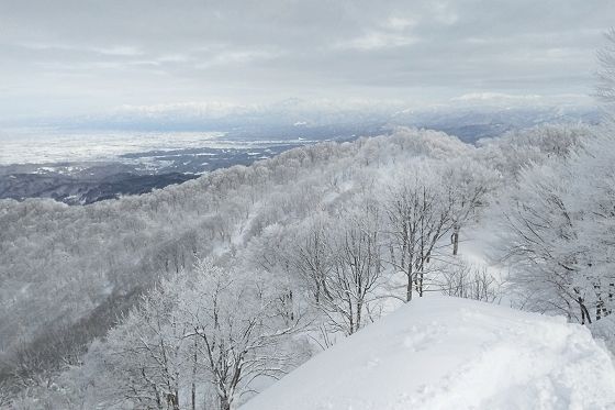 冬、富山平野