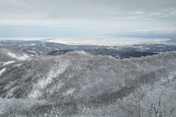 冬、富山平野