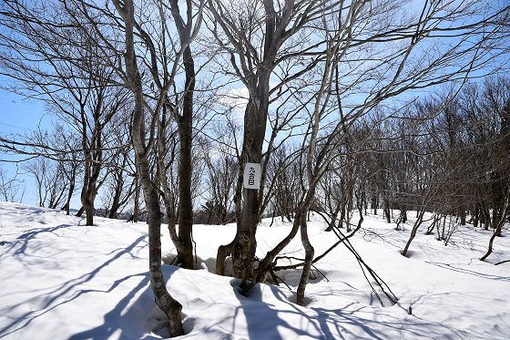 積雪期の9合目