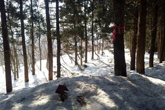 積雪期の八乙女山 最高地点