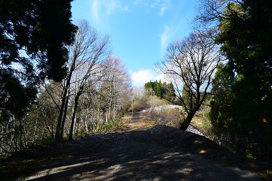 栃原峠から大寺山方向への道