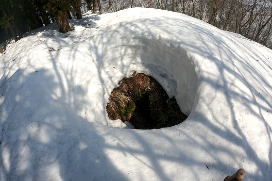 積雪期の風穴