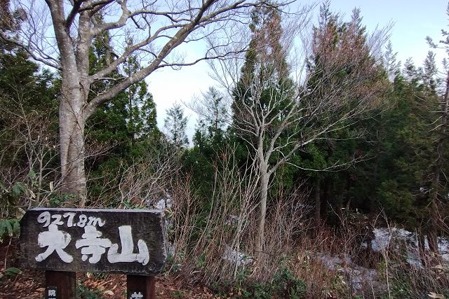 大寺山からの眺め